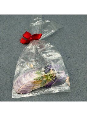 Decorative Lavender Seashell Ornament Ribbon Accents Gift Coastal Beach Cottage